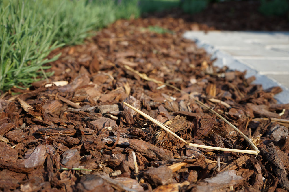  Franse boomschors als bodembedekker rondom struiken en bomen in een verzorgde tuin