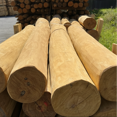  Geschuurde spintvrije robinia palen diameter 14-16 cm, duurzaamheidsklasse 1 zonder behandeling
