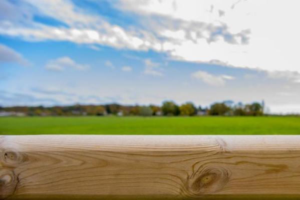 Clôture pour chevaux - Pin rouge de Norvège à tête de diamant