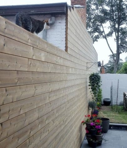 Planchette à rainure et languette Douglas