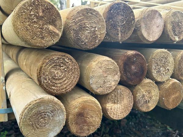 Poteaux en pin fraisés pointus imprégnés - dia. 10 cm