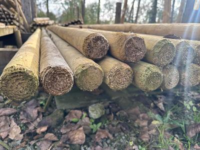 Grenen palen gefreesd gepunt geïmpregneerd - dia. 6cm