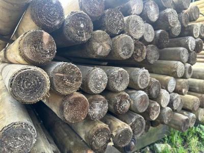 Grenen palen gefreesd gepunt geïmpregneerd - dia. 8cm