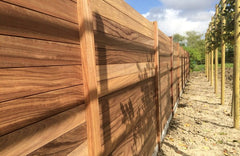 Padouk rabatplank 21x145 mm met een lengte van 275 cm, hoogwaardig hardhouten tand-en-groef profiel voor een dicht tuinscherm of wand.