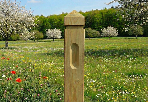 Clôture pour chevaux - Pin rouge de Norvège à tête de diamant