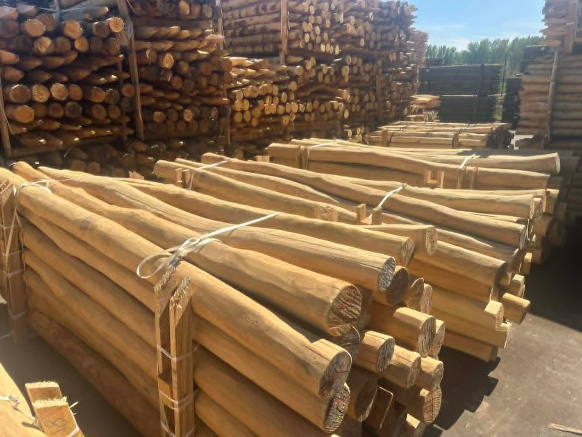 geschuurde robinia palen spintvrij diameter 12 tot 14 centimeter